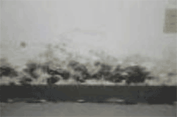 Ozone 