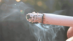 Cigarette Smoke